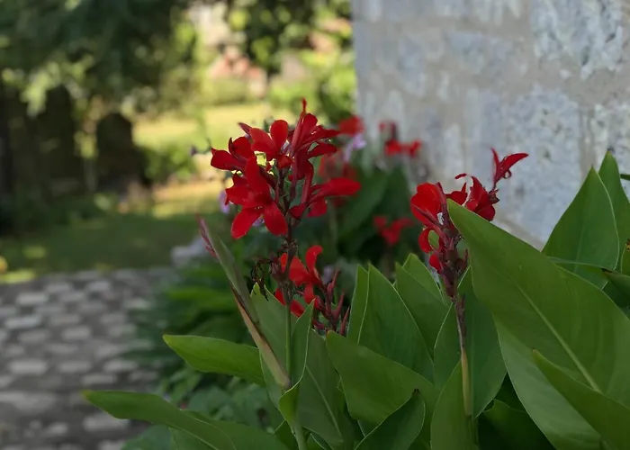 Chateau De Bouniagues